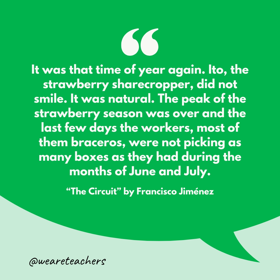 "It was that time of year again. Ito, the strawberry sharecropper, did not smile. It was natural. The peak of the strawberry season was over and the last few days the workers, most of them braceros, were not picking as many boxes as they had during the months of June and July."