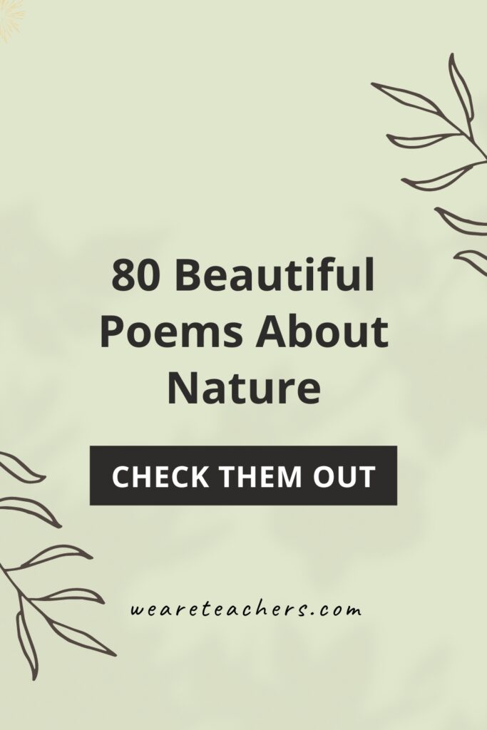 These beautiful poems about nature will inspire your students and are perfect for sharing in the classroom all year round.