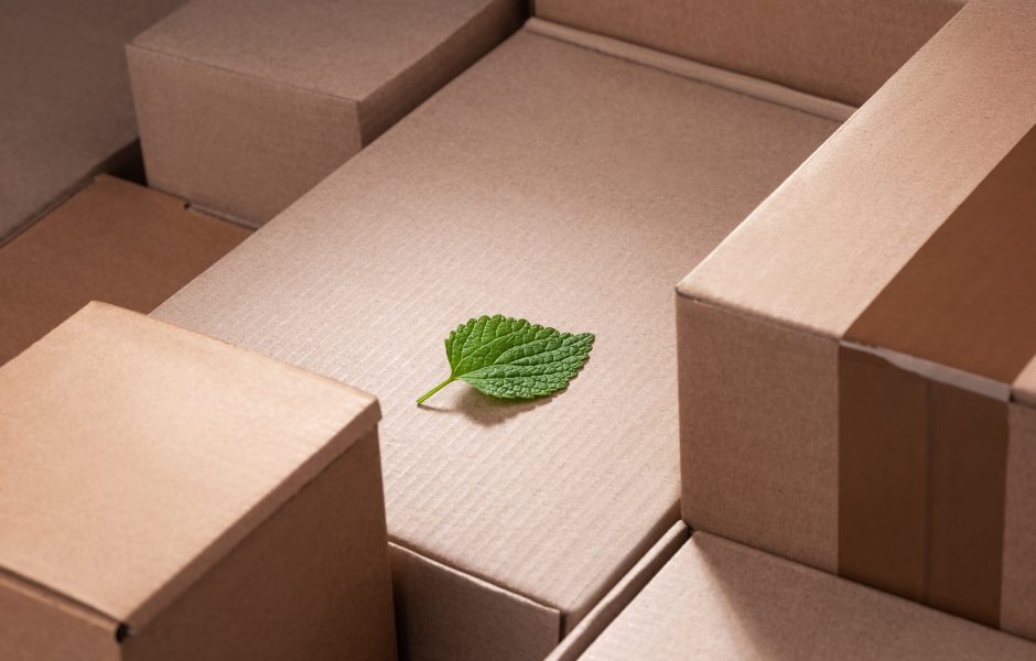 green leaf sitting on top of sustainable shipping boxes