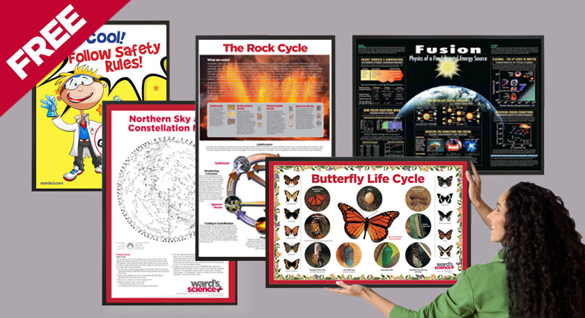 Free Science Poster Set